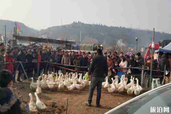 2019武功古城河灘會時間+地址+介紹