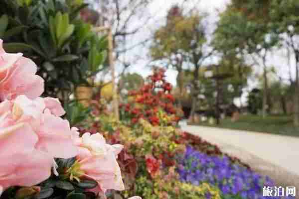 楓橋景區(qū)什么時(shí)候免費(fèi)開(kāi)放 楓橋景區(qū)游玩攻略