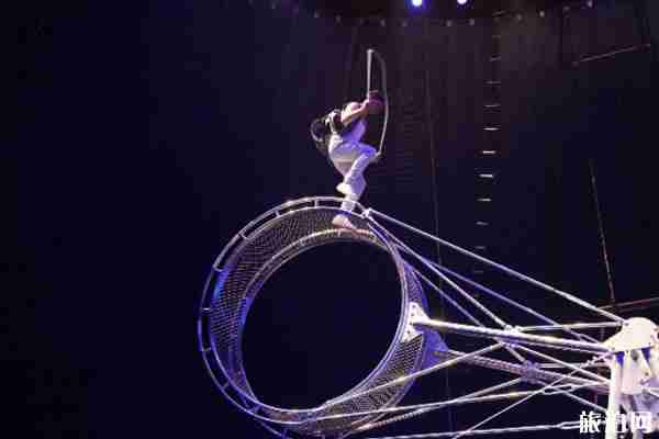上海野生動物園門票多少錢+地址+開放時間+景點