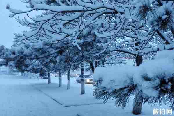 2019北京京郊冬季民俗活動（活動內容+民宿+地址+聯系方式）