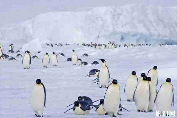 南極和北極哪一邊比較冷