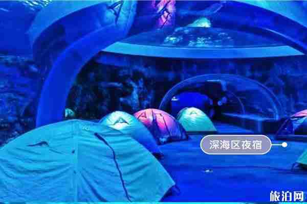 哪個海洋館可以搭帳篷夜宿