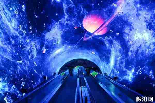 2019廣州正佳極地海洋世界圣誕活動（優惠+門票+游玩項目）