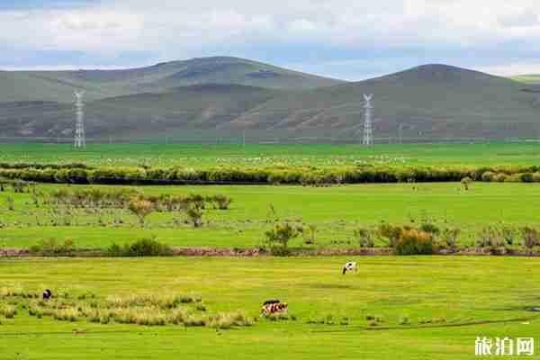 呼倫貝爾大草原最佳旅游季節+景點