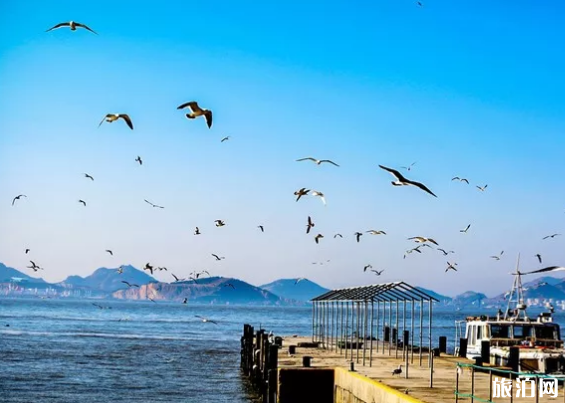 國內冬天應該去哪些島嶼避寒