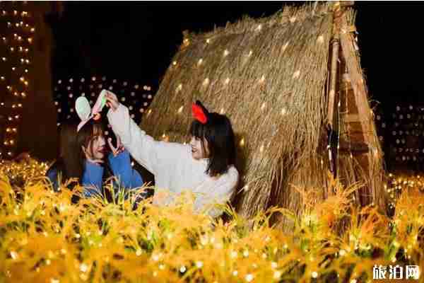 2020武汉欢乐谷跨年门票 武汉欢乐谷跨年2020活动攻略