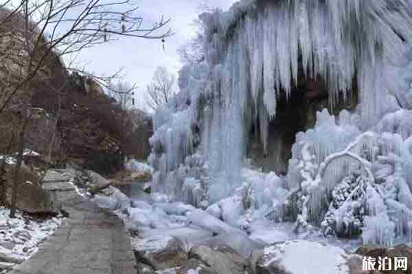 2020年北京有哪些好玩的活動