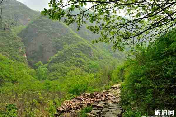 2020年河南春节免费景区 2020年春节河南景区优惠信息