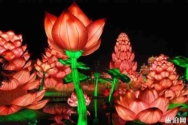 2020年自贡灯会门票价格 2020年自贡国际恐龙灯会攻略