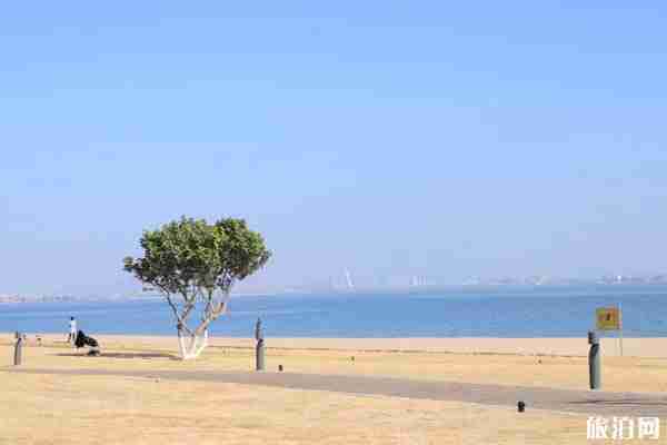 厦门有哪些网红景点 厦门网红景点推荐