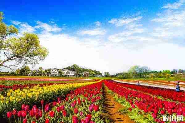 武漢木蘭花鄉(xiāng)好玩嗎 有什么景點