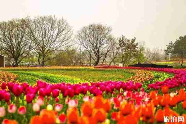 武漢木蘭花鄉有哪些有了項目