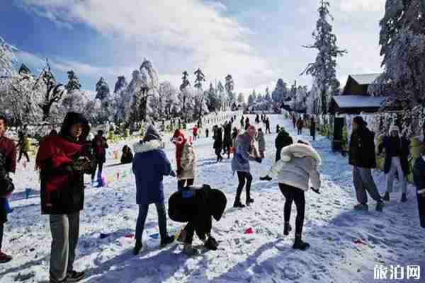 2020年春節峨眉山景區限流人數+門票價格+購買