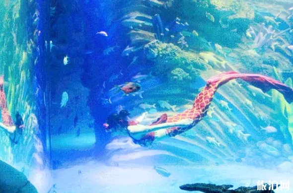 2020重庆春节景区活动汇总 优惠门票 交通