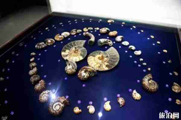 2020年春节青岛旅游景区取消活动信息整理