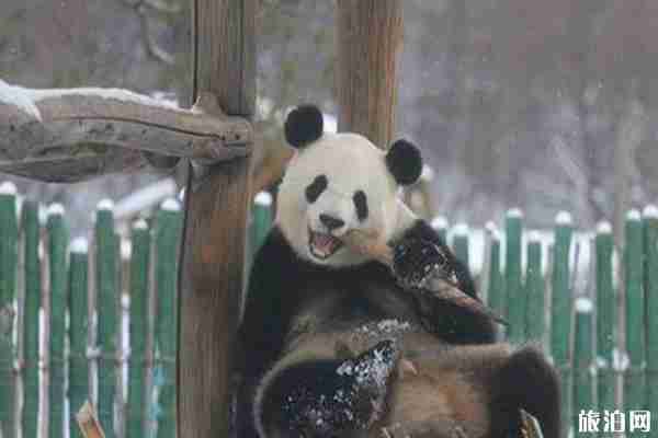 2020黑龙江景区关闭信息整理