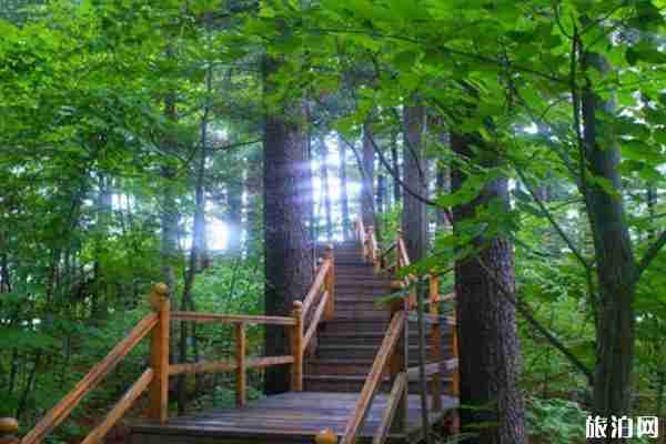 廣州增城區(qū)四大森林公園停止開放