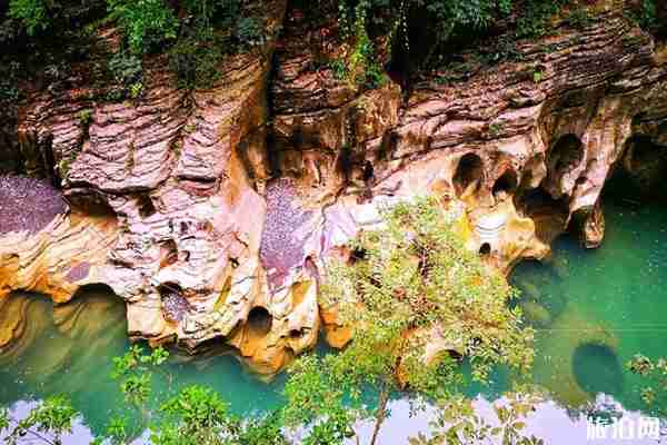 2020恩施地心谷景區(qū)對全國醫(yī)護人員和天津市民免票