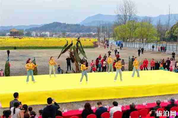 贛州冷杉良田花海影視基地油菜花觀賞 附油菜花節時間