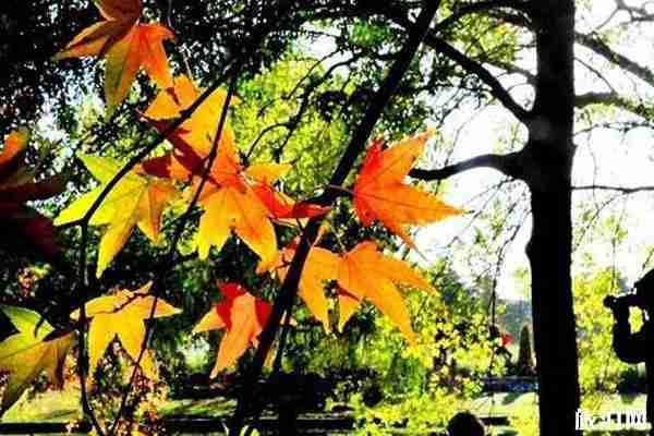 2020上海部分公園對(duì)醫(yī)務(wù)工作者免票信息整理