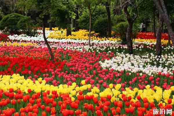 2020黃石景區(qū)對(duì)江蘇人及全國(guó)醫(yī)務(wù)工作者免票的有哪些