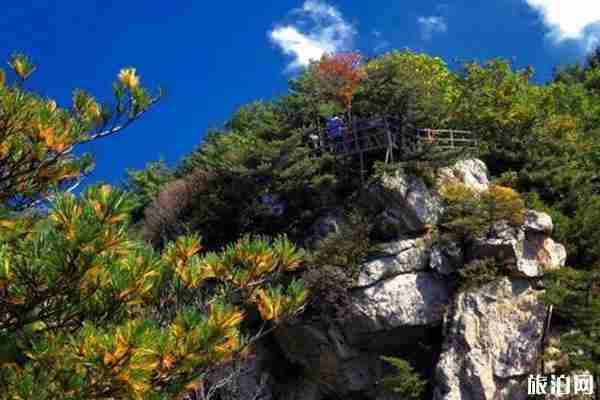 2020河南對全國醫務工作者免票的景區有哪些