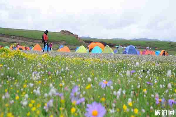 2020阿壩州對醫(yī)護(hù)工作人員免費(fèi)的景區(qū)有哪些