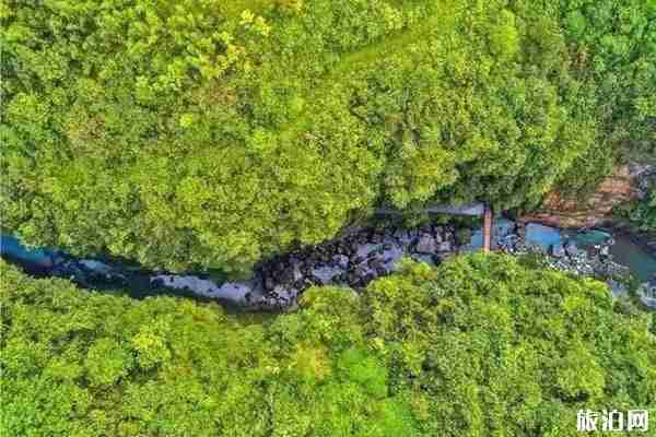 2020恩施向全國(guó)醫(yī)務(wù)工作者及家屬免票的景區(qū)有哪些