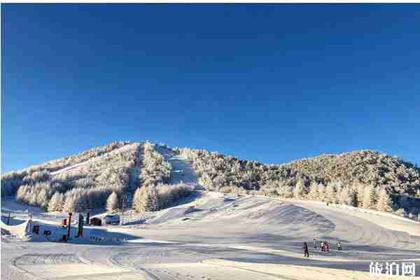 2020神农架国际滑雪场对全国医务工作者免费信息