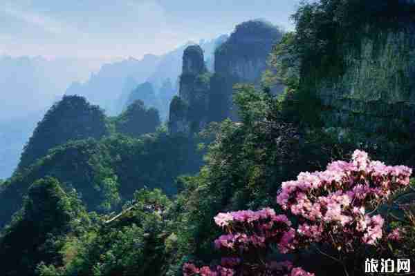 2020宜昌對全國醫務工作者免費的景區整理