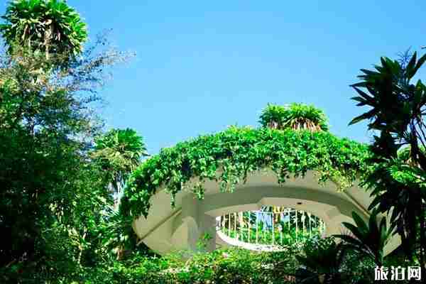 西雙版納熱帶花卉園對(duì)全體醫(yī)護(hù)人員免費(fèi)開放