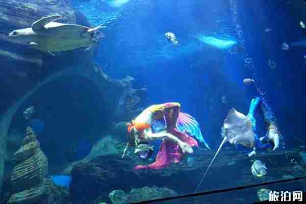 貴陽極地海洋世界門票多少 優惠政策-簡介