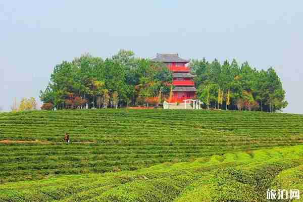 2020南昌鳳凰溝景區對全體醫護人員免費開放