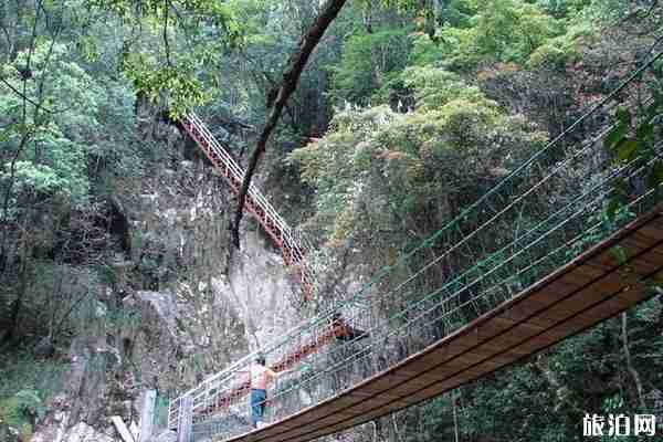 2020?巾子峰森林公園恢復(fù)開放