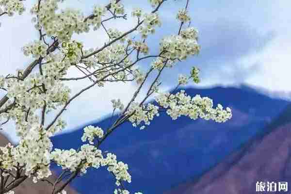 四川金川縣有什么好玩的景點