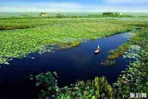 2020湖北洪湖對廣東免票優惠政策 五年免票不限次數