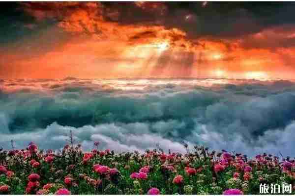 2020韭菜坪恢復(fù)開放和門票優(yōu)惠信息