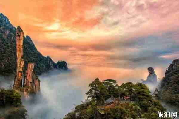 2020三清山景區開放時間 最新優惠政策