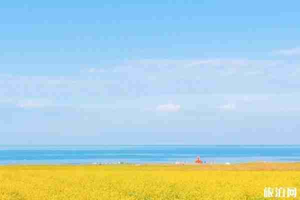 全國景區施行實名制登記游覽