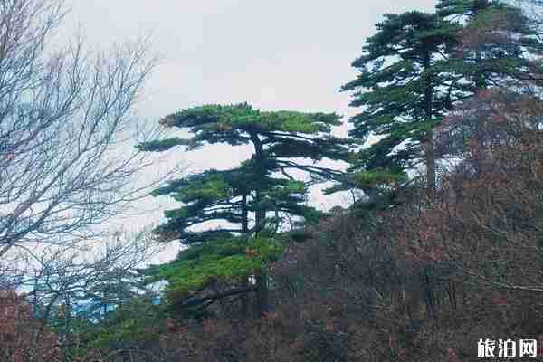 黄山徒步登山攻略