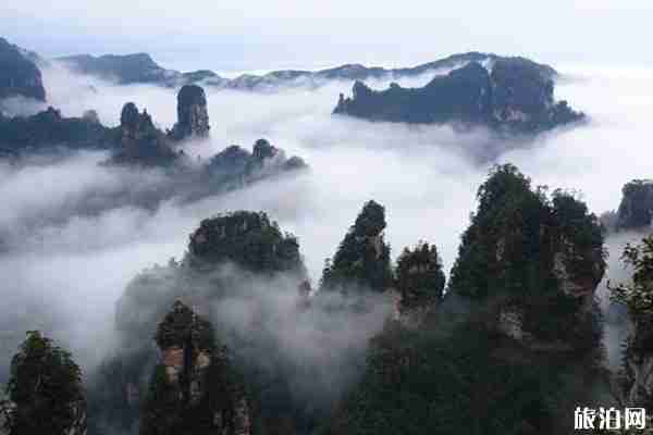 2020張家界武陵源景區開放時間 附最新優惠政策