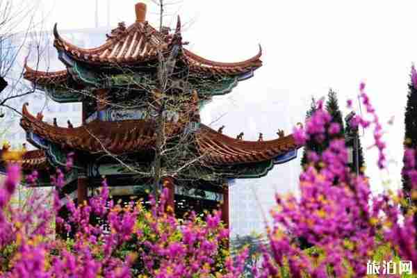 四月鄭州賞花去哪里