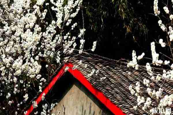 南漳樱花谷具体在哪里 赏花指南