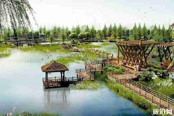 昆明部分公園恢復開放時間-范圍 西華公園和曇華寺公園