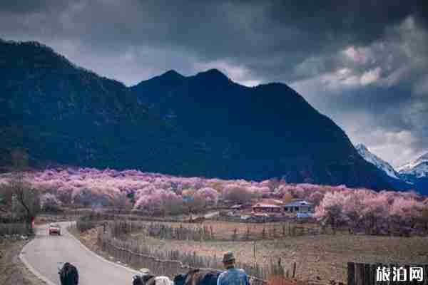 什么時候可以去西藏旅游和西藏旅游優惠政策2020