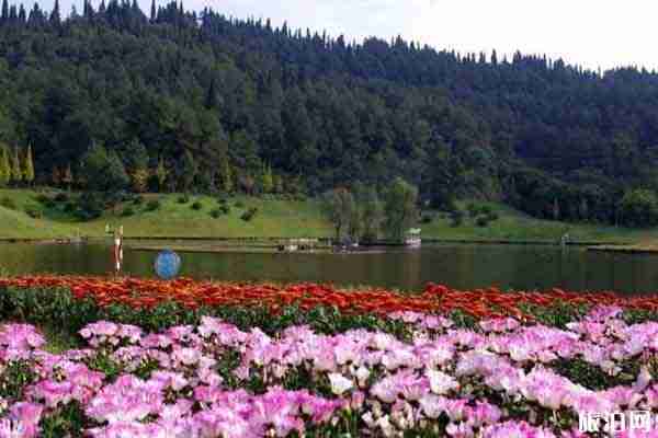 成都花舞人間預約入園 2020恢復開放-開放時間