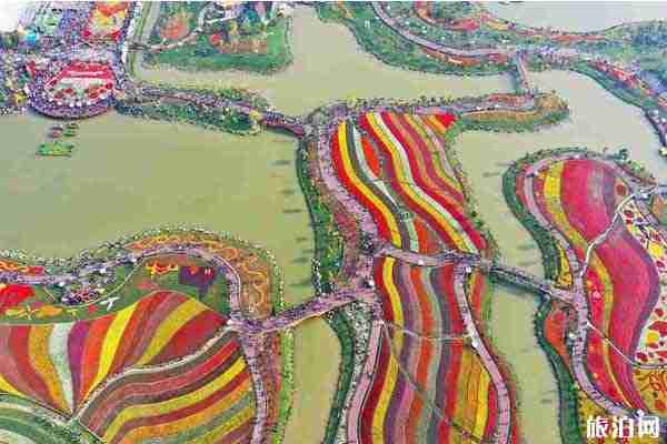 大豐荷花花海郁金香花期持續(xù)時(shí)間