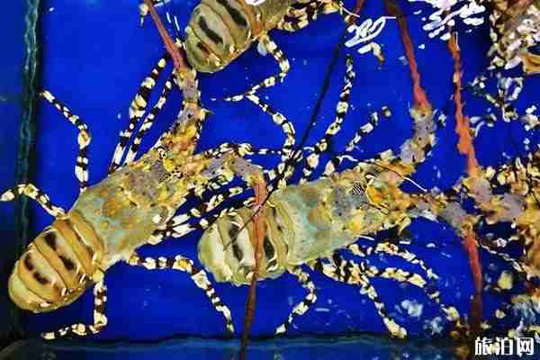 越南海鮮貴嗎和價格整理