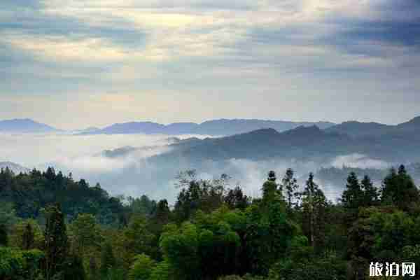 2020碧峰峽景區開放了嗎 景區特色