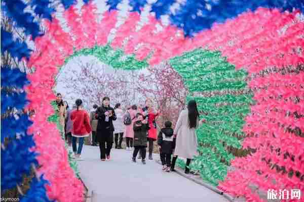 重慶哪里看桃花最好